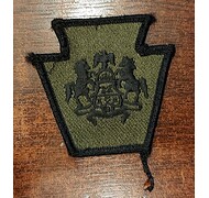 Naszywka Kwatery głównej Gwardii Narodowej stanu Pensylwania - Zielona - Bez rzepu
