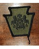 Naszywka Kwatery głównej Gwardii Narodowej stanu Pensylwania - Zielona - Bez rzepu