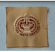 Odznaka haftowana - U.S. ARMY DRILL SERGEANT IDENTIFICATION - Beżowy
