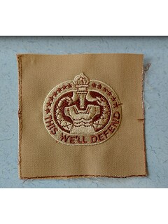 Odznaka haftowana - U.S. ARMY DRILL SERGEANT IDENTIFICATION - Beżowy