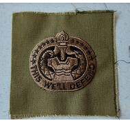 Odznaka haftowana - U.S. ARMY DRILL SERGEANT IDENTIFICATION - Zielona