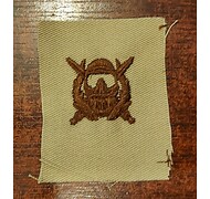 Odznaka haftowana - U.S. ARMY SPECIAL OPERATIONS DIVER - Piaskowa