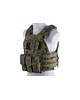 Plate Carrier type tactical vest - wz.93 woodland panther