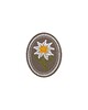 JTG - Naszywka 3D Edelweiss Patch Oval - Wielokolorowa 