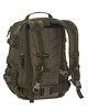 Wisport - Plecak Sparrow 303 - olive green